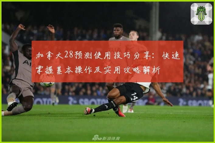 加拿大28预测使用技巧分享：快速掌握基本操作及实用攻略解析
