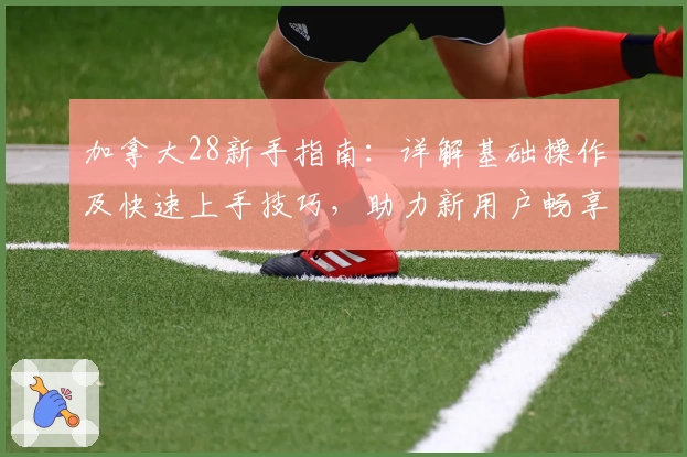 加拿大28新手指南：详解基础操作及快速上手技巧，助力新用户畅享使用体验