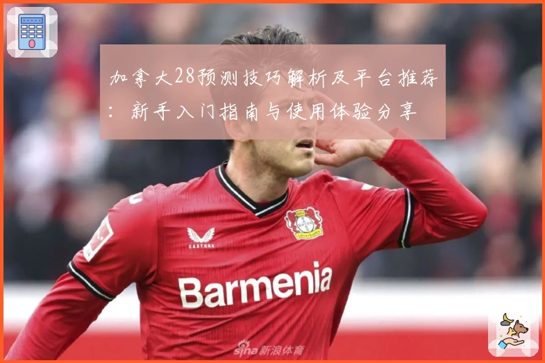 加拿大28预测技巧解析及平台推荐：新手入门指南与使用体验分享