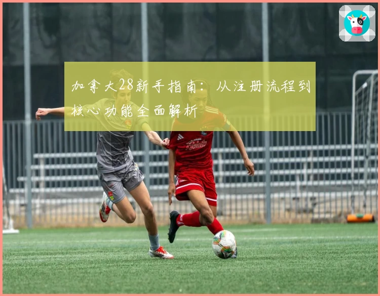 加拿大28新手指南：从注册流程到核心功能全面解析