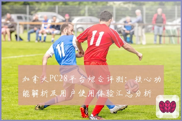 加拿大PC28平台综合评测:核心功能解析及用户使用体验汇总分析