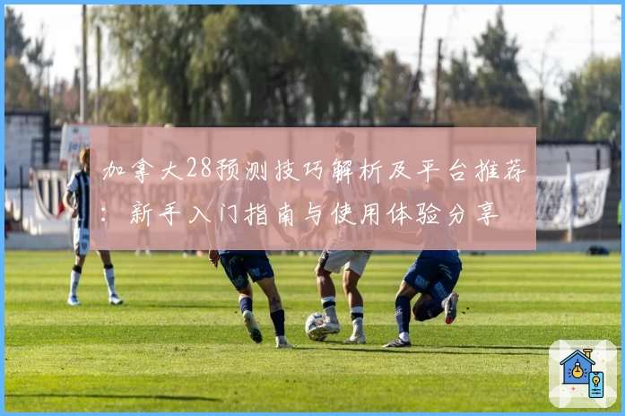 加拿大28预测技巧解析及平台推荐：新手入门指南与使用体验分享