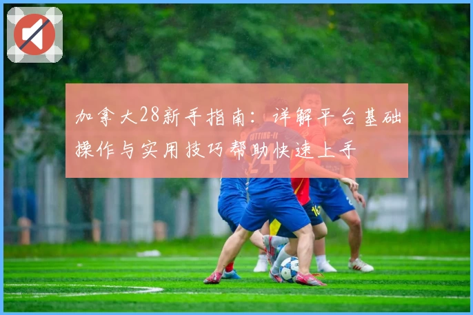 加拿大28新手指南：详解平台基础操作与实用技巧帮助快速上手