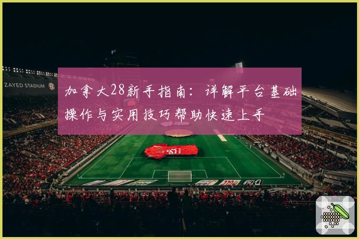 加拿大28新手指南:详解平台基础操作与实用技巧帮助快速上手