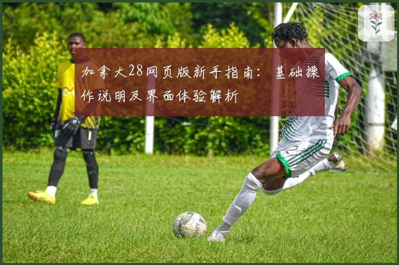 加拿大28网页版新手指南：基础操作说明及界面体验解析