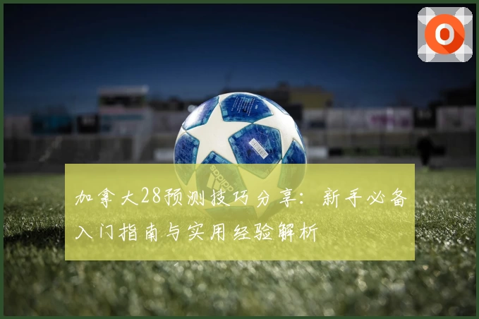 加拿大28预测技巧分享：新手必备入门指南与实用经验解析