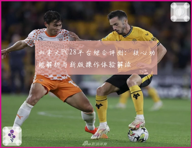 加拿大PC28平台综合评测：核心功能解析与新版操作体验解读