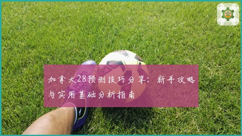 加拿大28预测技巧分享：新手攻略与实用基础分析指南