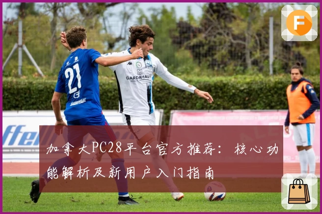 加拿大PC28平台官方推荐:核心功能解析及新用户入门指南